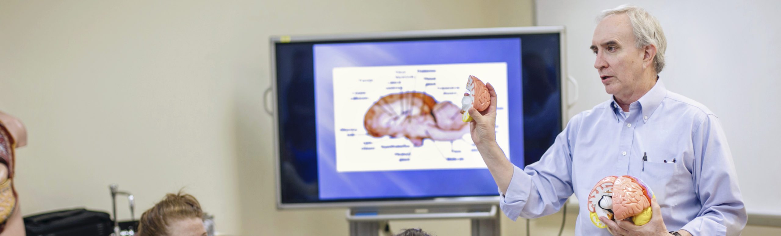 biology teacher holding up model with powerpoint in background